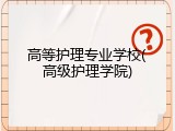 高等护理专业学校(高级护理学院)