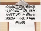 哈尔滨正规的幼师学校,哈尔滨正规幼师学校哪家好？自媒体为您揭秘行业现状与未来发展