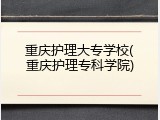 重庆护理大专学校(重庆护理专科学院)