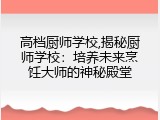 高档厨师学校,揭秘厨师学校：培养未来烹饪大师的神秘殿堂