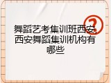 舞蹈艺考集训班西安,西安舞蹈集训机构有哪些