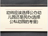 幼师应该选择公办幼儿园还是民办(选择公私幼园的考量)