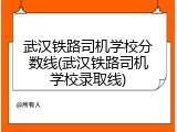 武汉铁路司机学校分数线(武汉铁路司机学校录取线)