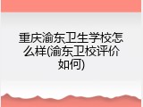重庆渝东卫生学校怎么样(渝东卫校评价如何)