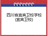四川省宜宾卫校学校(宜宾卫校)