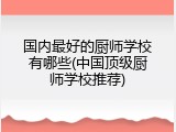 国内最好的厨师学校有哪些(中国顶级厨师学校推荐)