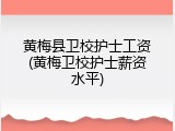 黄梅县卫校护士工资(黄梅卫校护士薪资水平)