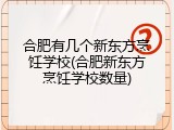 合肥有几个新东方烹饪学校(合肥新东方烹饪学校数量)