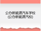 公办新能源汽车学校(公办新能源汽校)