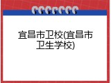 宜昌市卫校(宜昌市卫生学校)