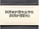 陕西省护理专业学校(陕西护理职校)