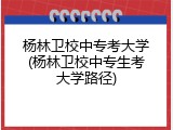杨林卫校中专考大学(杨林卫校中专生考大学路径)
