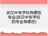 武汉中专学校有哪些专业(武汉中专学校的专业有哪些)