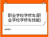 职业学校学修车(职业学校学修车技能)