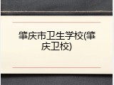 肇庆市卫生学校(肇庆卫校)