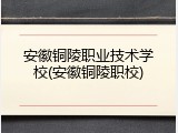 安徽铜陵职业技术学校(安徽铜陵职校)