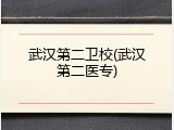 武汉第二卫校(武汉第二医专)