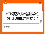 新能源汽修培训学校(新能源车维修培训)