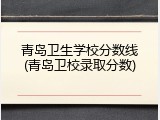 青岛卫生学校分数线(青岛卫校录取分数)