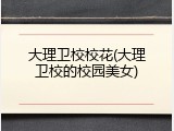 大理卫校校花(大理卫校的校园美女)