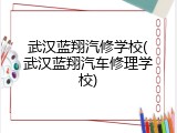 武汉蓝翔汽修学校(武汉蓝翔汽车修理学校)