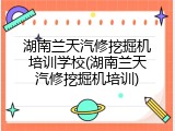 湖南兰天汽修挖掘机培训学校(湖南兰天汽修挖掘机培训)