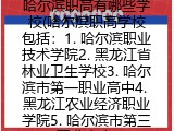 哈尔滨职高有哪些学校(哈尔滨职高学校包括：1. 哈尔滨职业技术学院2. 黑龙江省林业卫生学校3. 哈尔滨市第一职业高中4. 黑龙江农业经济职业学院5. 哈尔滨市第三职业高中)