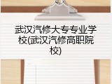 武汉汽修大专专业学校(武汉汽修高职院校)