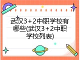 武汉3+2中职学校有哪些(武汉3+2中职学校列表)