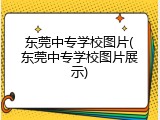 东莞中专学校图片(东莞中专学校图片展示)