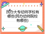 民办大专幼师学校有哪些(民办幼师院校有哪些)