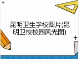 昆明卫生学校图片(昆明卫校校园风光图)