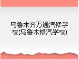 乌鲁木齐万通汽修学校(乌鲁木修汽学校)