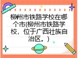 柳州市铁路学校在哪个市(柳州市铁路学校，位于广西壮族自治区。)