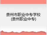 贵州市职业中专学校(贵州职业中专)