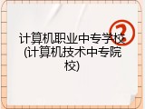计算机职业中专学校(计算机技术中专院校)