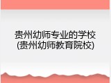 贵州幼师专业的学校(贵州幼师教育院校)