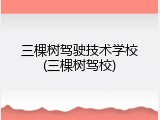三棵树驾驶技术学校(三棵树驾校)