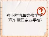 专业的汽车维修学校(汽车修理专业学校)
