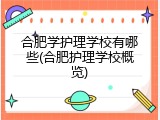 合肥学护理学校有哪些(合肥护理学校概览)