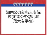 湖南公办幼师大专院校(湖南公办幼儿师范大专学校)
