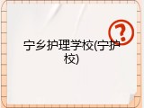 宁乡护理学校(宁护校)