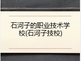 石河子的职业技术学校(石河子技校)