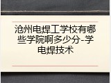沧州电焊工学校有哪些学院啊多少分-学电焊技术