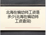北海在编幼师工资是多少(北海在编幼师工资查询)