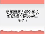 想学厨师去哪个学校好(选哪个厨师学校好？)