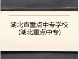 湖北省重点中专学校(湖北重点中专)