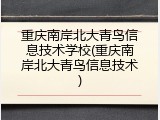 重庆南岸北大青鸟信息技术学校(重庆南岸北大青鸟信息技术)