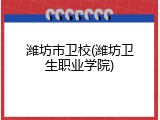 潍坊市卫校(潍坊卫生职业学院)