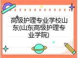 高级护理专业学校山东(山东高级护理专业学院)